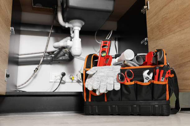 Best Commercial Plumbing Services  in , ID